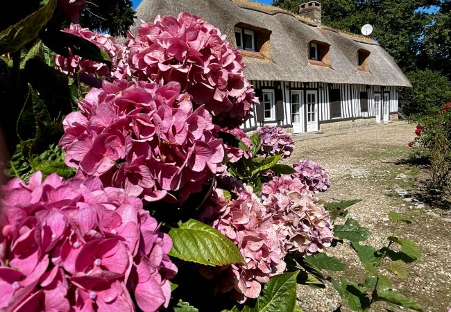 Maison à Le Mesnil-Durdent - Clos de Leger Maison à Le Mesnil-Durdent - Clos de Leger
