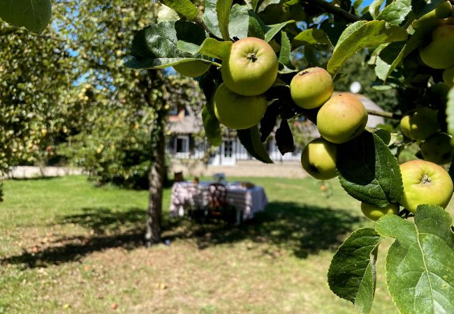 Maison à Le Mesnil-Durdent - Clos de Leger Maison à Le Mesnil-Durdent - Clos de Leger